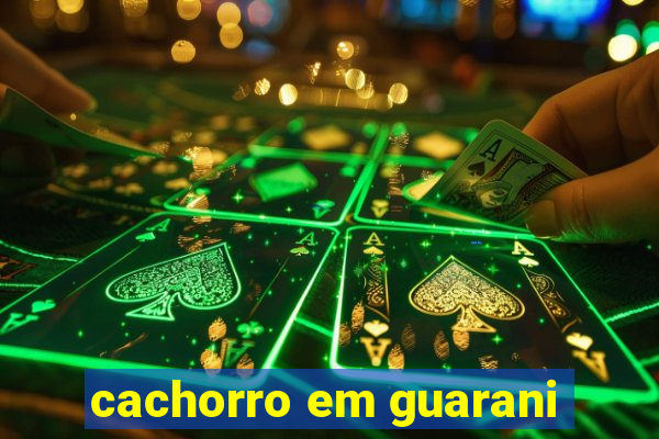 cachorro em guarani